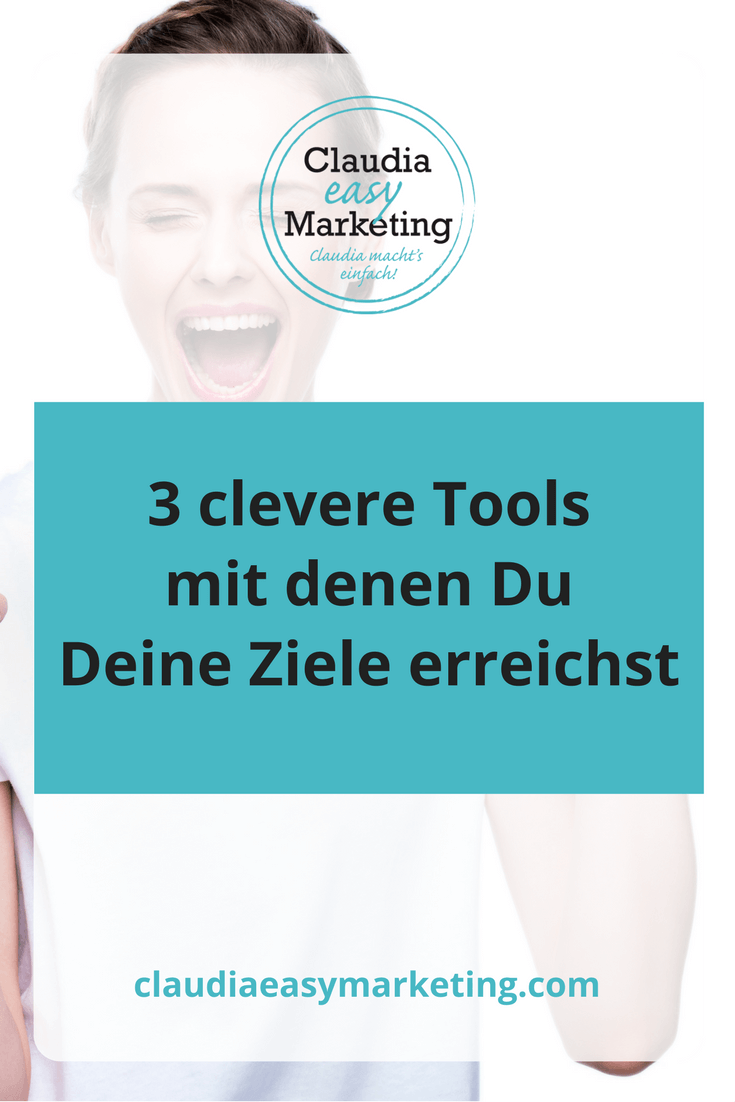 business-ziele-erreichen-pinterest 3 Tools mit denen Du Deine Ziele erreichen kannst.