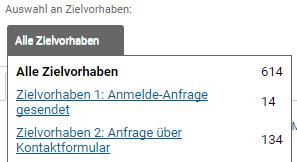 Zielvorhaben Google Analytics Zielvorhaben