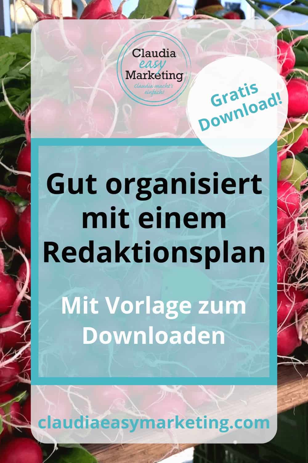 Redaktionsplan Anleitung mit Download