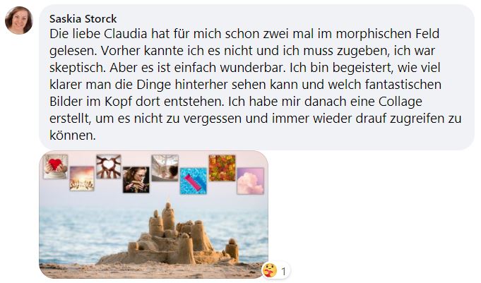 Erfahrung Feldlesen lesen im morphischen Feld