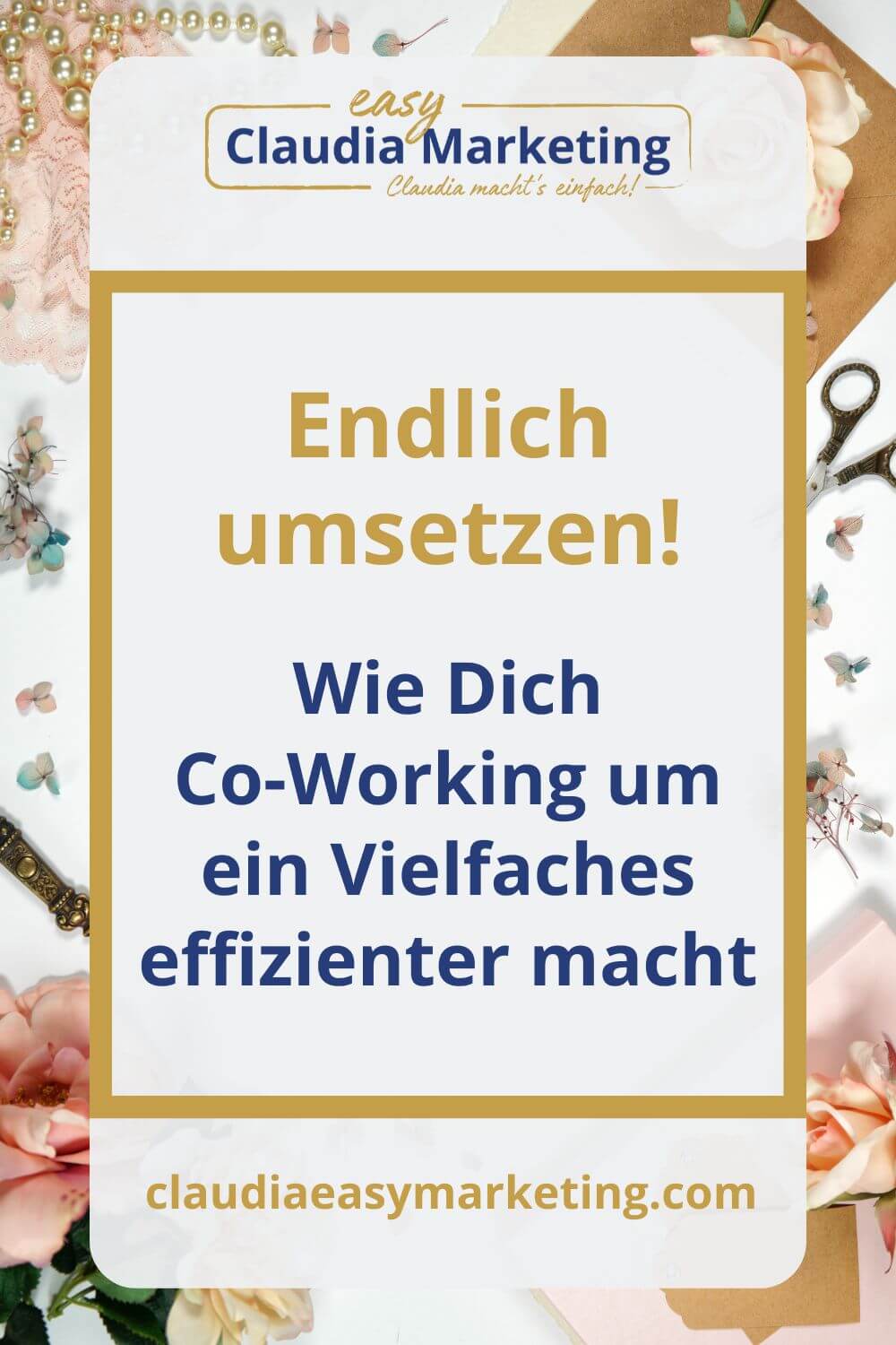 Co-Working-BA-Pins Co-working Pin